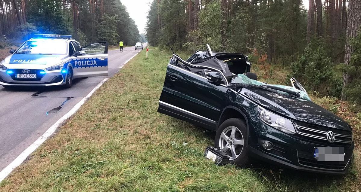 W Volkswagena uderzyło złamane drzewo