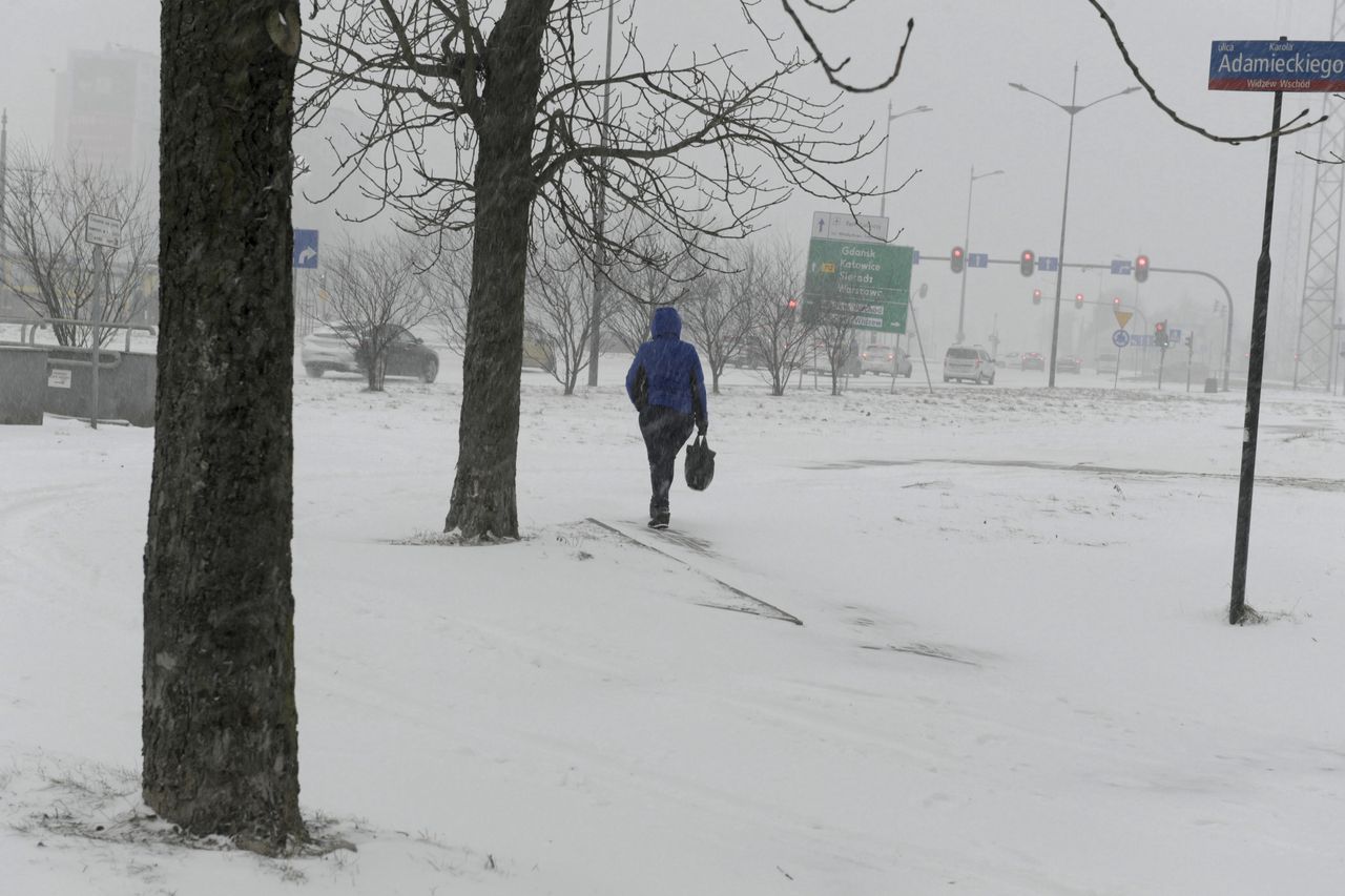 Pogoda. Wrocław. 10 lutego - ciąg dalszy mrozów. Bez nadziei na poprawę