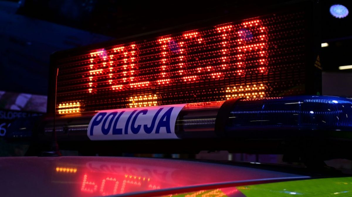 Brutalne zabójstwo psa w gminie Książ Wlkp. 