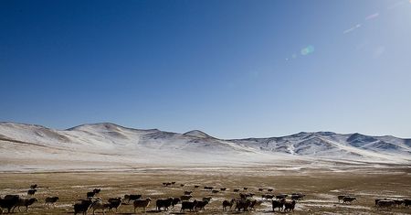 Mongolia – co warto wiedzieć o kraju stepów i bezdroży. Co zobaczyć w Mongolii?