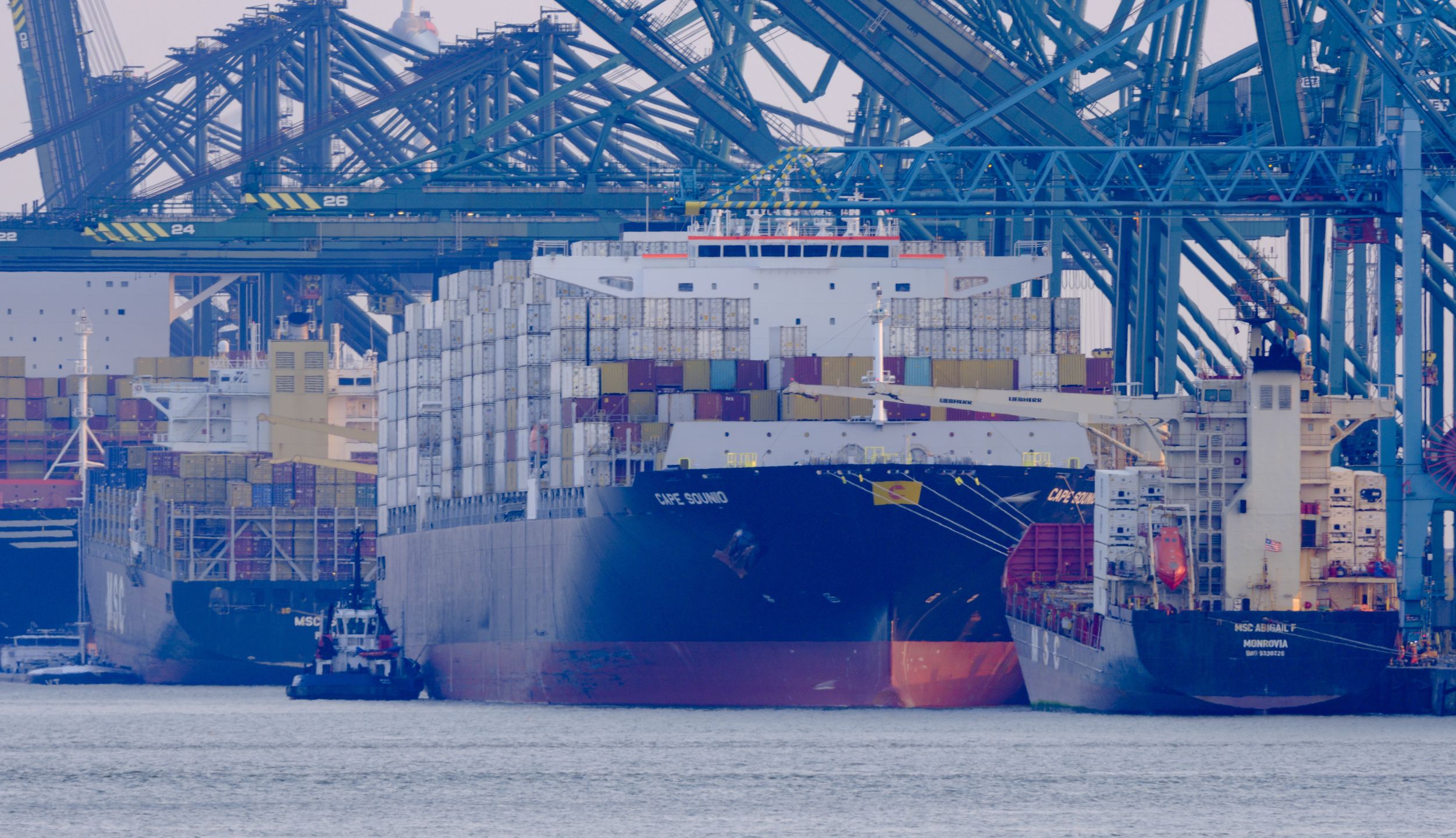 Port Antwerpia-Brugia to jeden z największych morskich hubów Eur