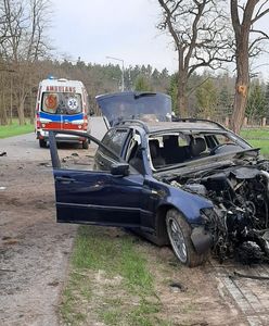 Lubelskie. Pijany 20-letni kierowca uderzył w drzewo