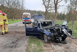 Lubelskie. Pijany 20-letni kierowca uderzył w drzewo