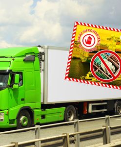 Problemy z herbatą, która wjechała do Polski. "Liczne wady"