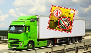 Problemy z herbatą, która wjechała do Polski. "Liczne wady"