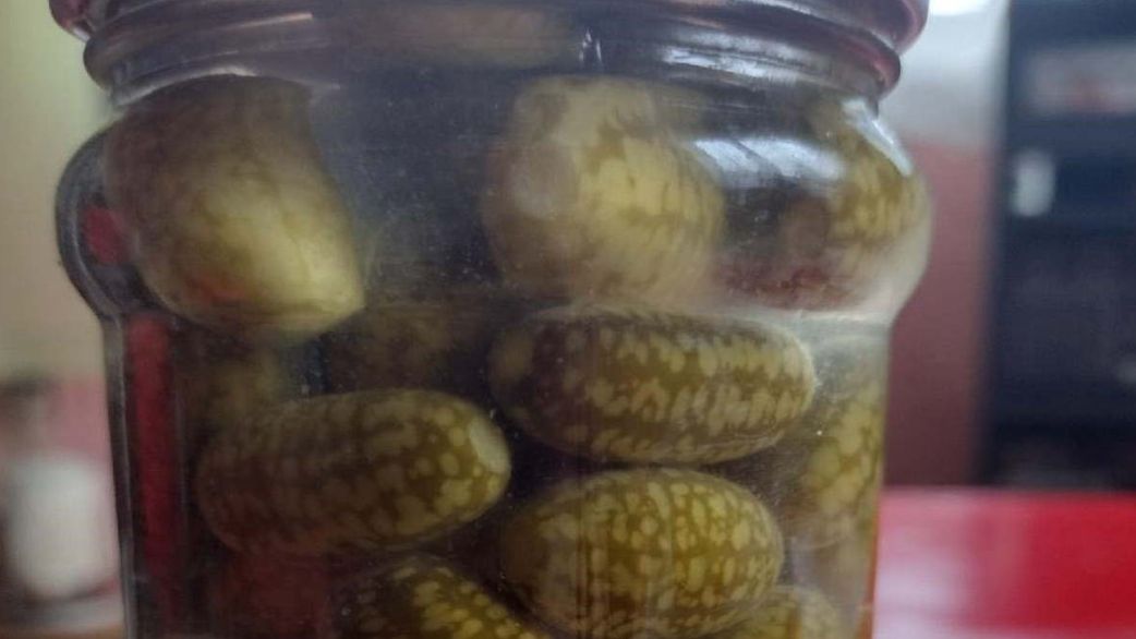 Mysi melon. Niepozorny kuzyn ogórka, który chroni przed udarem i zwalcza komórki rakowe