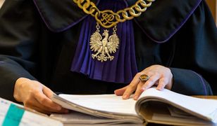 Kielce. Więzienie za próbę zabicia psa. Połamał zwierzęciu kręgosłup i czaszkę