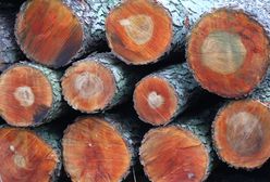 Mazowieckie. Przy wjeździe na S8 przewróciła się ciężarówka. Na jezdni drewno