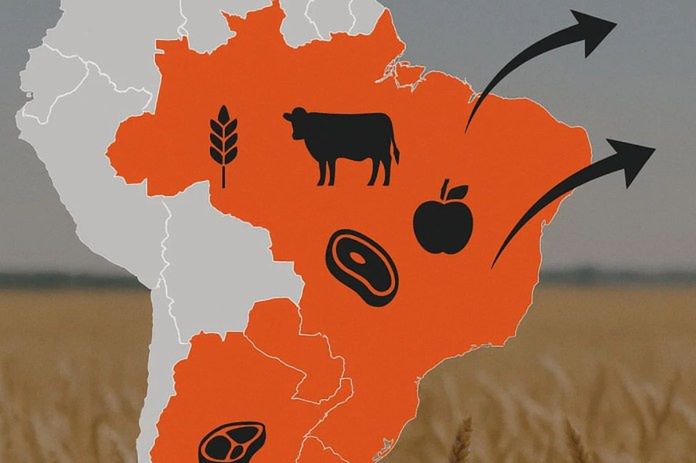 Umowa Mercosur dobije polskie rolnictwo? Klauzula nas nie uratuje