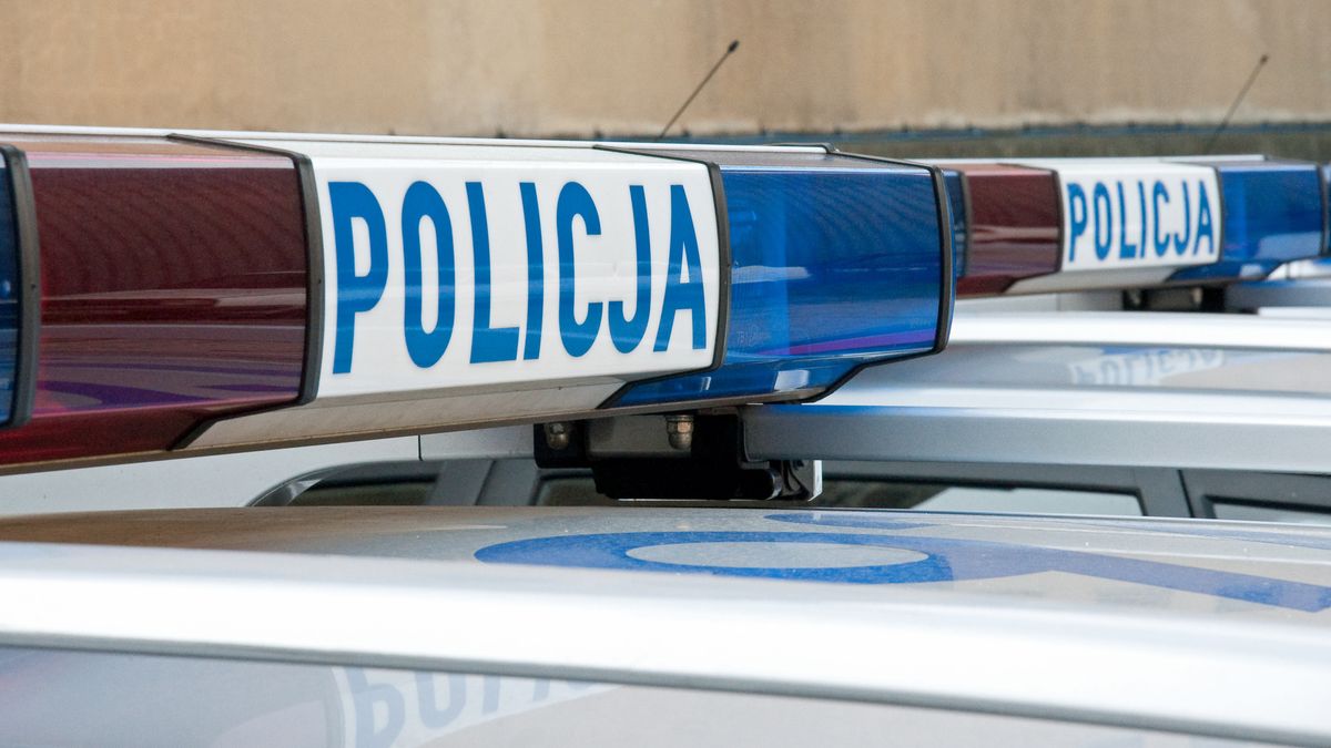 Przesłuchano matkę głodzonej trzylatki