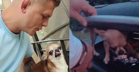Alan z "Warsaw Shore" tłumaczy się z zamknięcia psa NA GRILLU: "Pulpecik nie poszedł na kotlety"