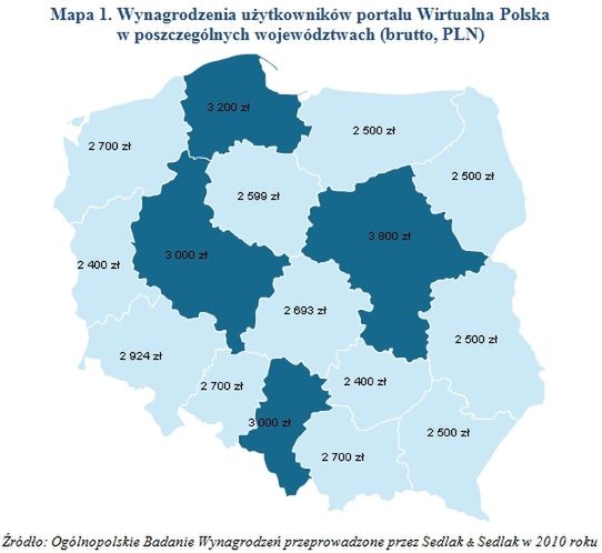 Ile zarabiają nasi internauci?