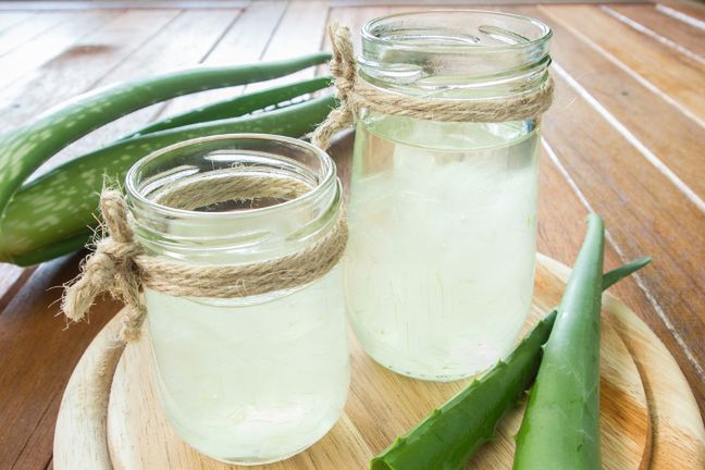 Aloes to znakomity środek na poparzenia