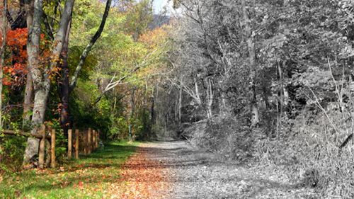 Jesienna depresja? - nie daj się! 1