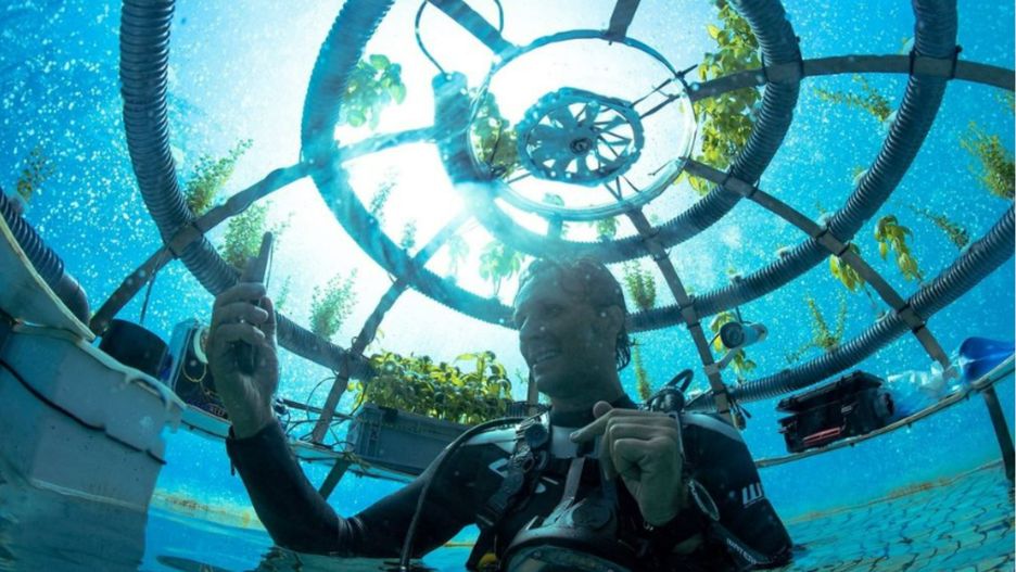Projekt Ocean Reef Group cieszy się uznaniem na arenie międzynarodowej