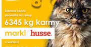 „Nakarm koty z COTE” – 8 edycja akcji pobiła rekord!