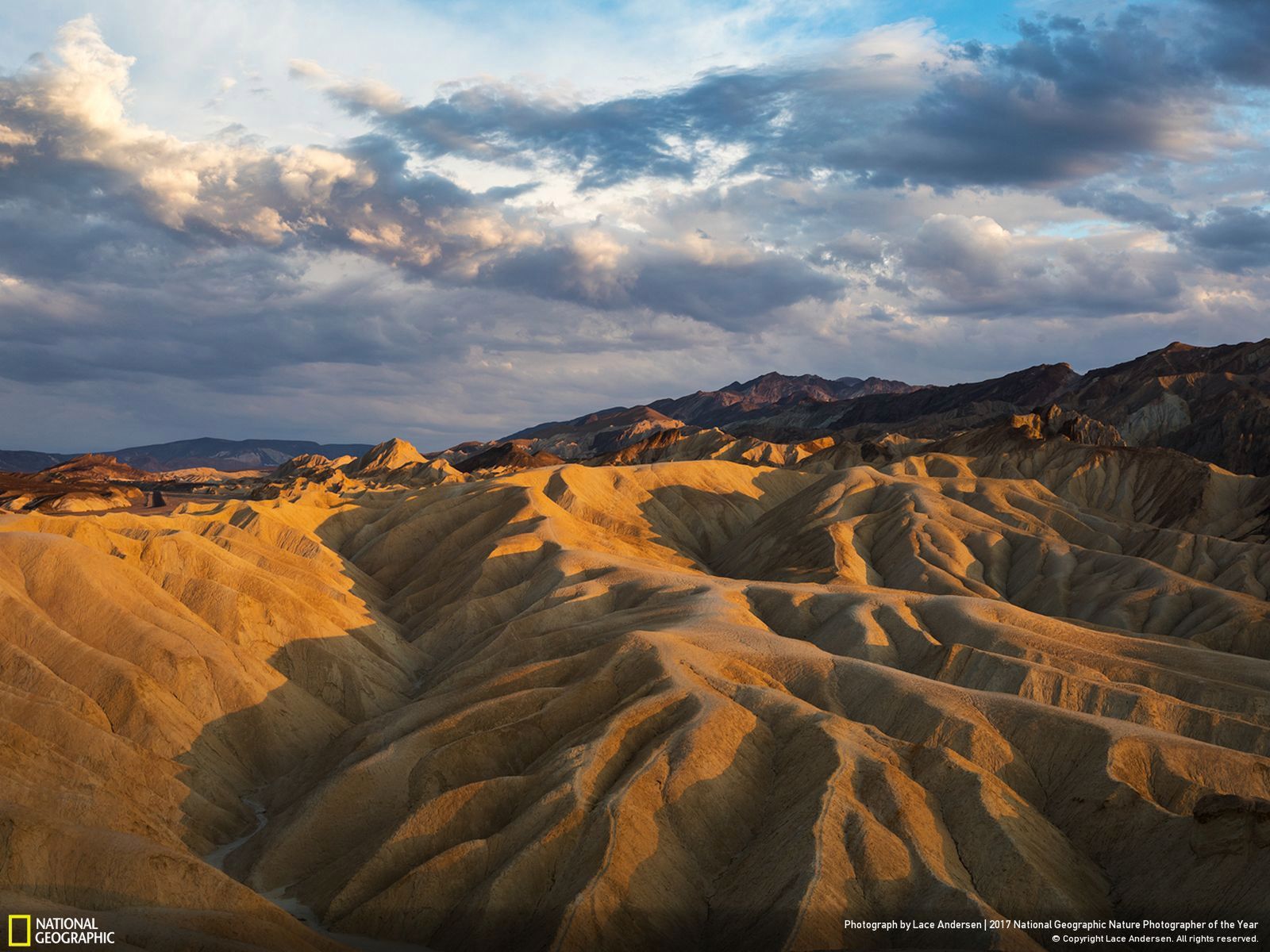 Poznaj najnowsze zgłoszone zdjęcia w konkursie Nat Geo Nature Photographer of the Year 2017 12