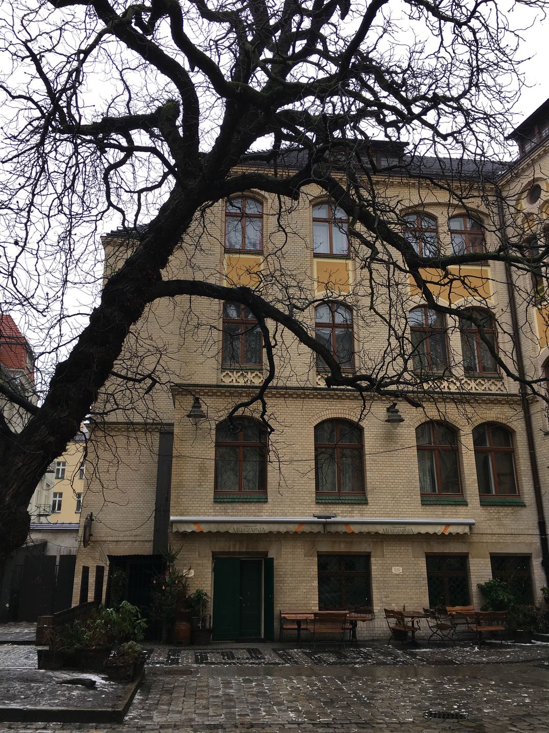 Test jakości zdjęć iPhone'a 6s. Czy Apple nadal jest królem fotograficznych smartfonów? 119