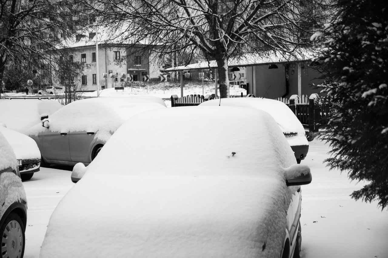 Zima, Piła, śnieg