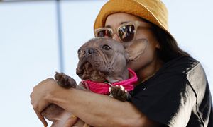 Oto "najbrzydszy pies świata". Ta rasa budzi kontrowersje