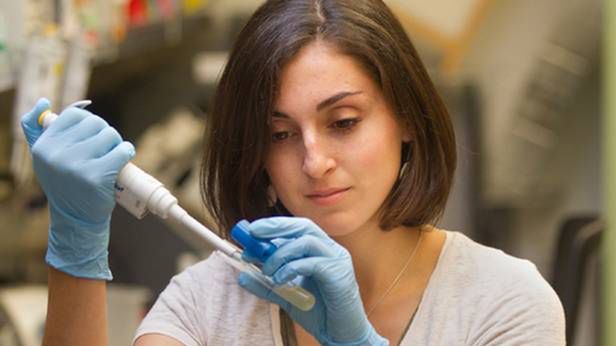 Bi-Fi - biologiczny Internet. Komórki przekażą informację genetyczną na odległość 1