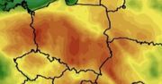Upał w Polsce? Jest najnowsza prognoza pogody