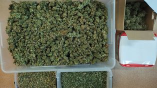 Areszt za posiadanie 2,5 kg marihuany. Akcja policji w powiecie słupeckim