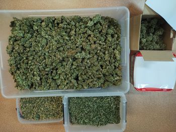 Areszt za posiadanie 2,5 kg marihuany. Akcja policji w powiecie słupeckim