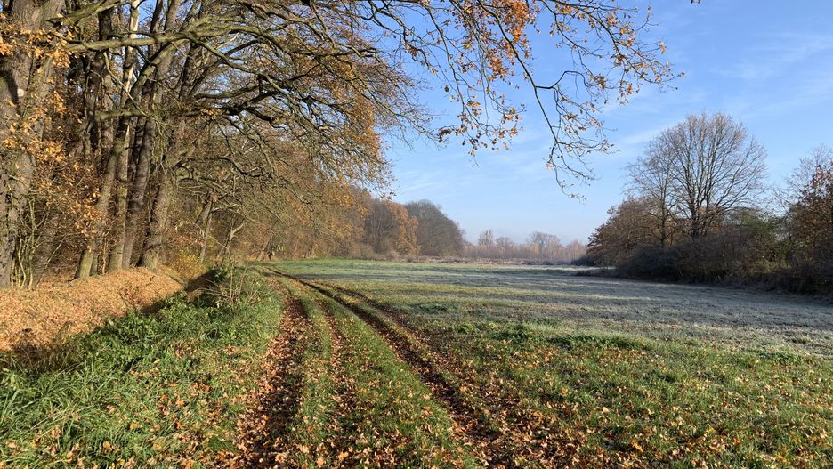 Wrocław. Pogoda. 5 stycznia 2021 - Bestia ze Wschodu nadciąga. Uwaga na marznący deszcz i śnieg