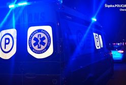 Chorzów. Krok od tragedii. W trakcie ucieczki przed policją 12-latek wpadł do stawu