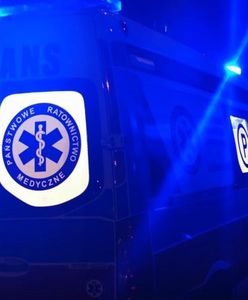 Chorzów. Krok od tragedii. W trakcie ucieczki przed policją 12-latek wpadł do stawu