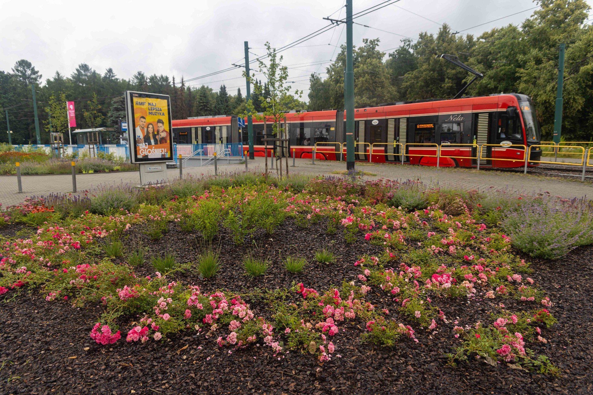 Tak po przebudowie wygląda przystanek autobusowy &#34;Śląski Ogród Zoologiczny&#34; przy ul. Chorzowskiej w Katowicach