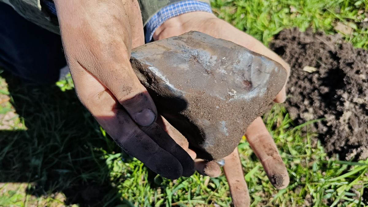 Meteoryt znaleziony w Zadzimiu 