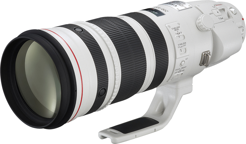 Canon EF 200-400mm f/4L IS USM Extender 1.4x