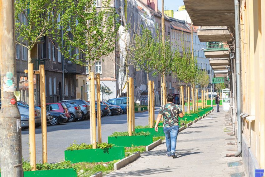 ulica wiosna Wrocław dzień ziemi
