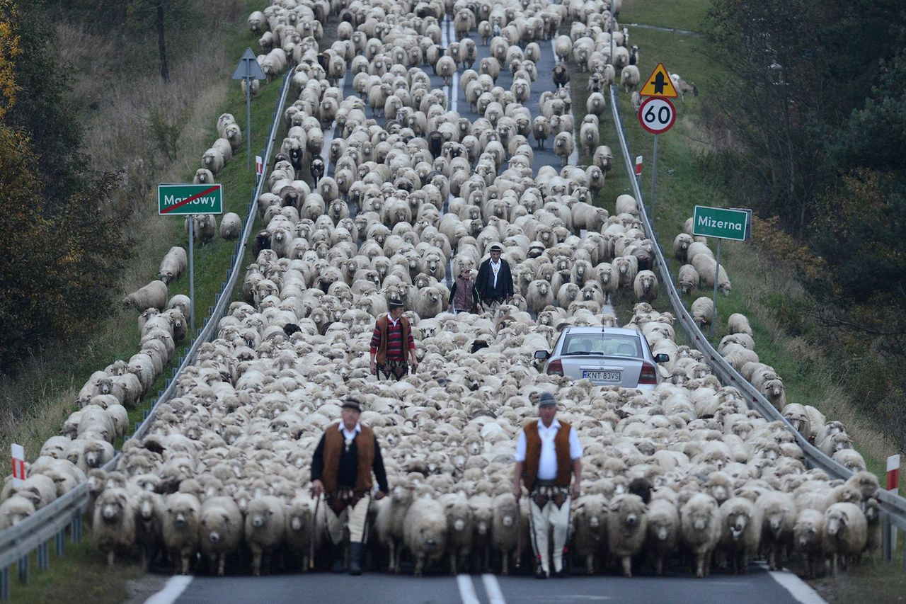 Siena International Photo Award jest międzynarodowym konkursem o najwyższym udziale w historii. Do tegorocznej edycji napłynęło prawie** 48 tysięcy zdjęć od fotografów ze 156 krajów świata.** Główny cel, jaki przyświeca organizatorom konkursu to możliwość dzielenia się doświadczeniami poprzez fotografię oraz jednoczenie profesjonalnych fotografów i amatorów.