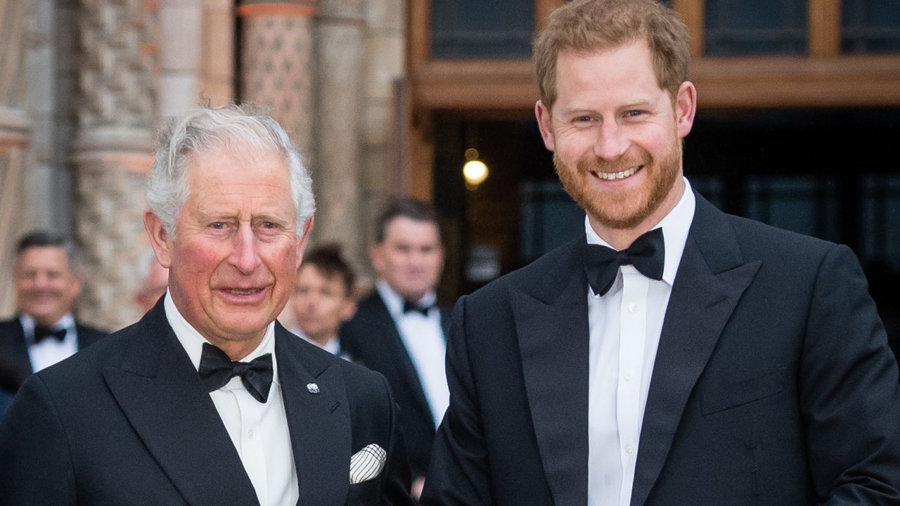 Książę Harry spotka się z Karolem? (fot. Getty Images)