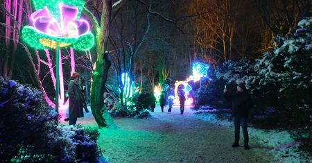 Lumina Park znów rozbłyśnie w Lublinie. Organizatorzy zdradzili pierwsze szczegóły
