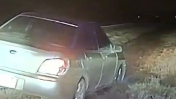 Nietypowe zdarzenie miało miejsce na jednej z autostrad w amerykańskim stanie Nebraska