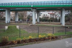 Warszawa. Na Pradze-Południe powstał niezwykły park dla psów [ZDJĘCIA]