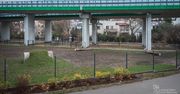 Warszawa. Na Pradze-Południe powstał niezwykły park dla psów [ZDJĘCIA]