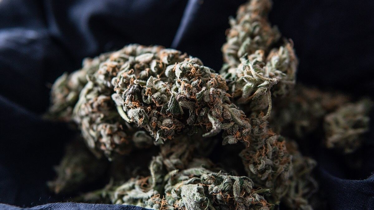 Marihuana w woreczku