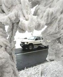 Polacy porzucają ciężarówki w Norwegii