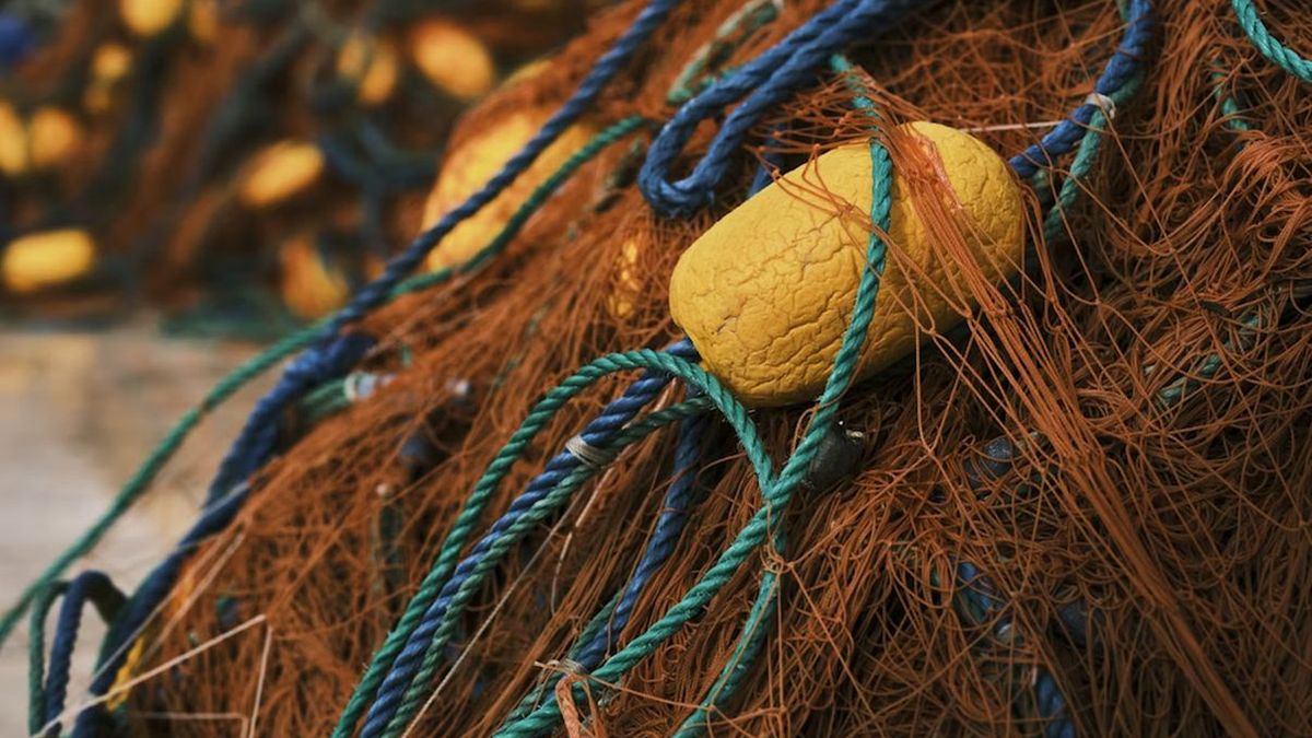 Szkocja przygotowała nietypowe wsparcie dla Ukrainy