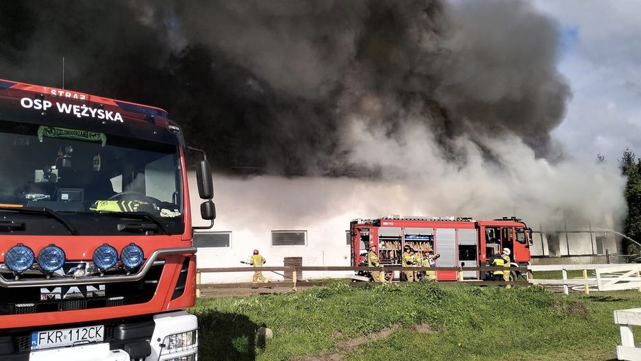 Pożar stadniny koni