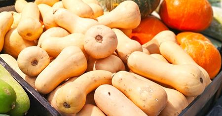 W sklepie jest mnóstwo dyń. Która pasuje do zupy, a którą lepiej upiec?