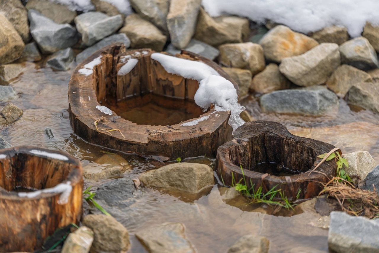 Małopolska: Diabelskie źródła niedaleko Krynicy-Zdroju. Jest nowa "Mofeta Górki" w Tyliczu, w otoczeniu naturalnego bobrowiska