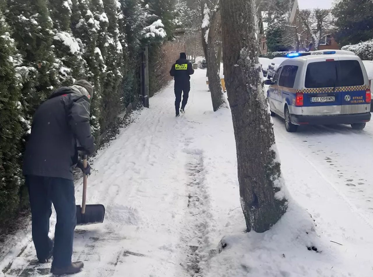 Mandaty nawet do 500 zł. Takie obowiązki ma właściciel posesji