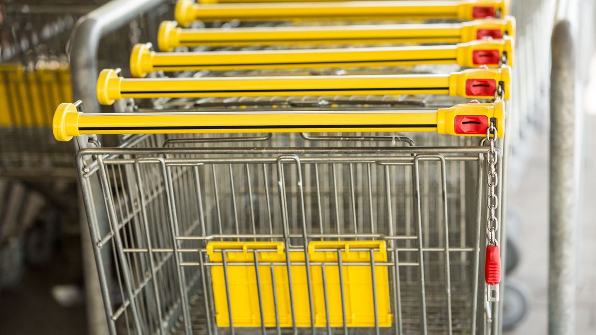 Biedronka wózek zakupowy sklep