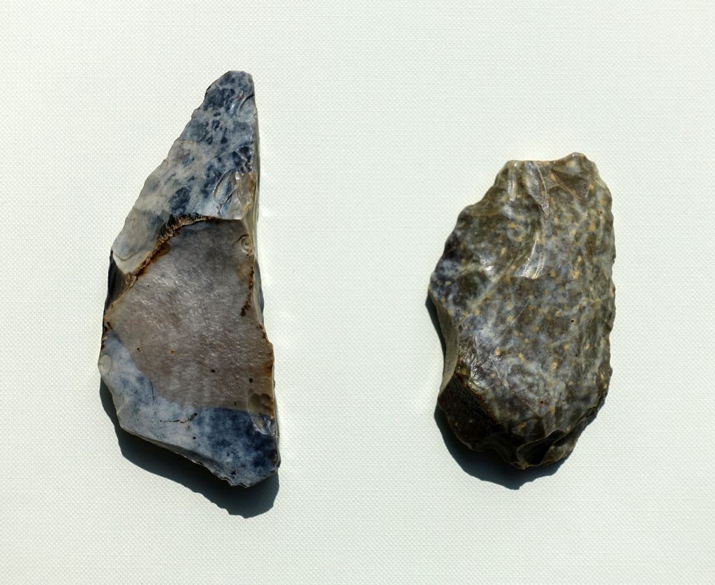 muzeum